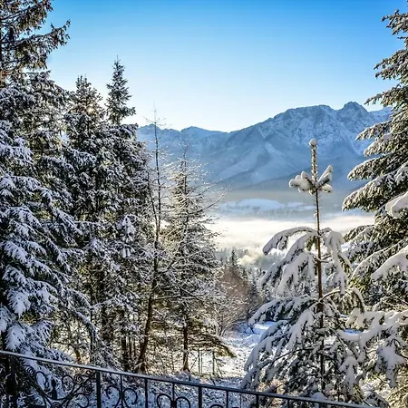 Pod Bukiem 1 * コシチェリスコ