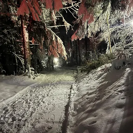 Pod Bukiem 1 ロッジ