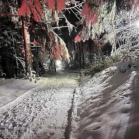 Hytte Pod Bukiem 1 Kościelisko