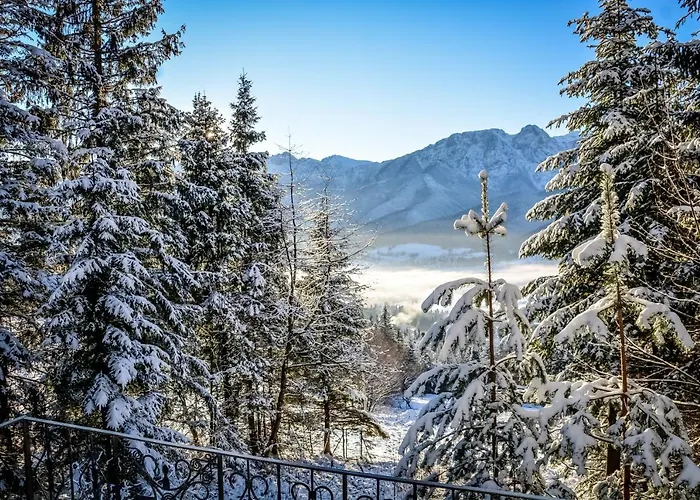 Pod Bukiem 1 * Kościelisko